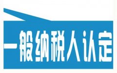 浅析关于一般纳税人的相关政策